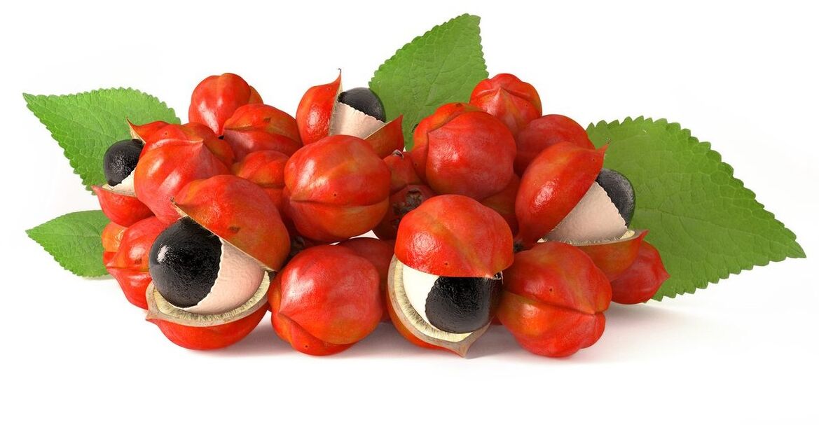 Guarana seed extract in ZXCVBNQWERT