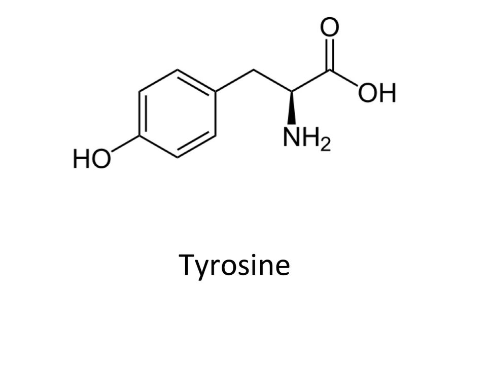 Tyrosine in apslim